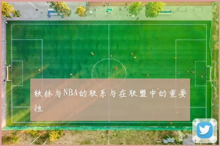 铁林与NBA的联系与在联盟中的重要性
