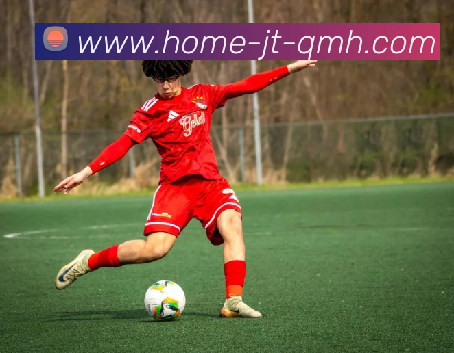 球盟会平台生态图